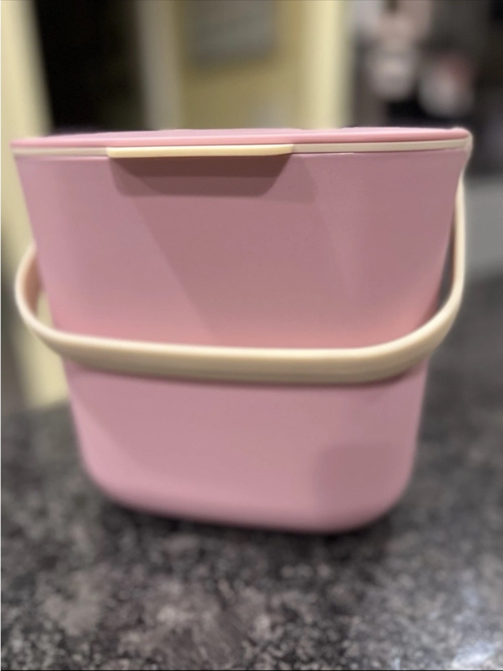 Target Mini~Countertop Composting Bin